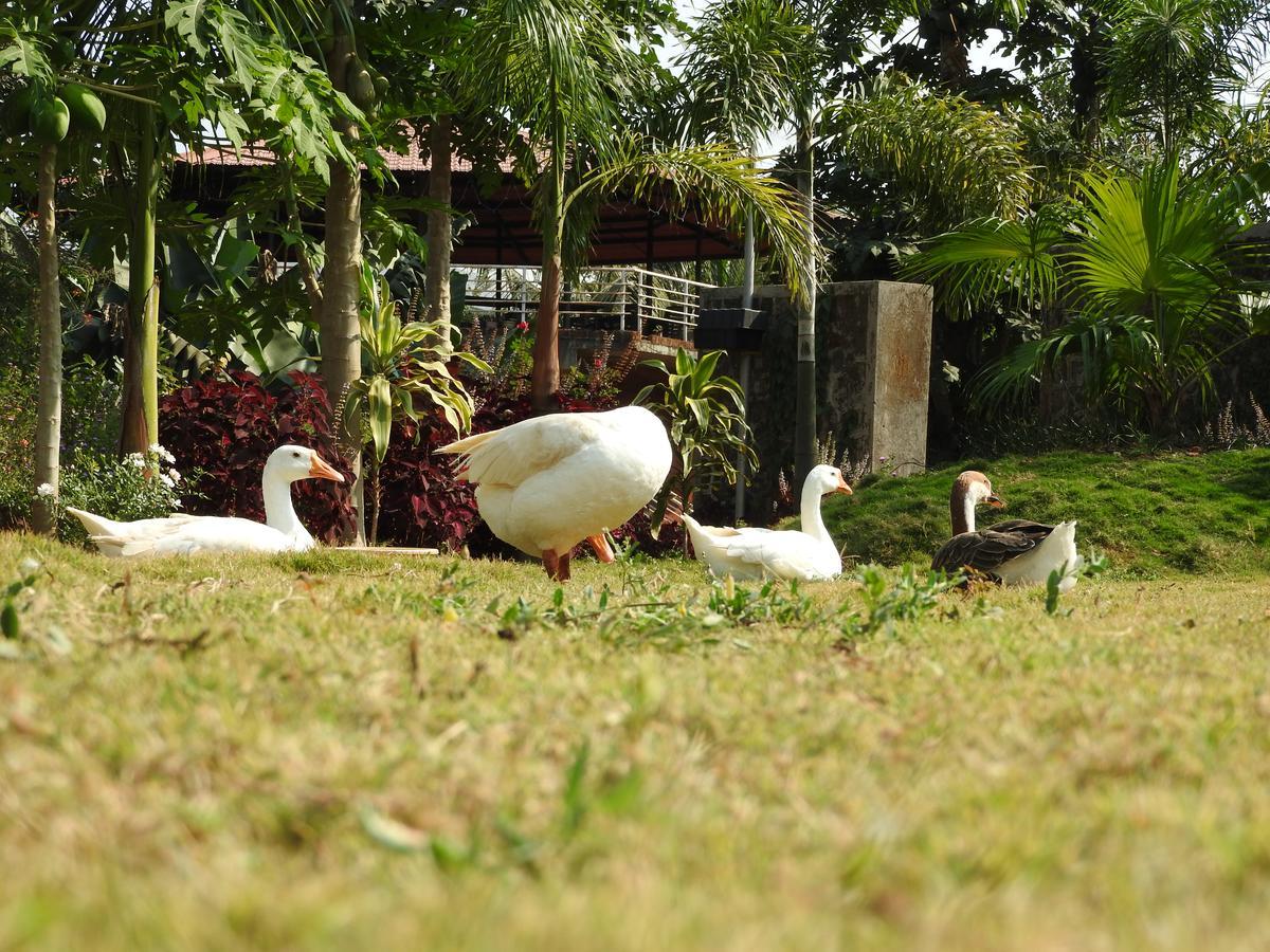 Nature Leap Resort Igatpuri Ngoại thất bức ảnh