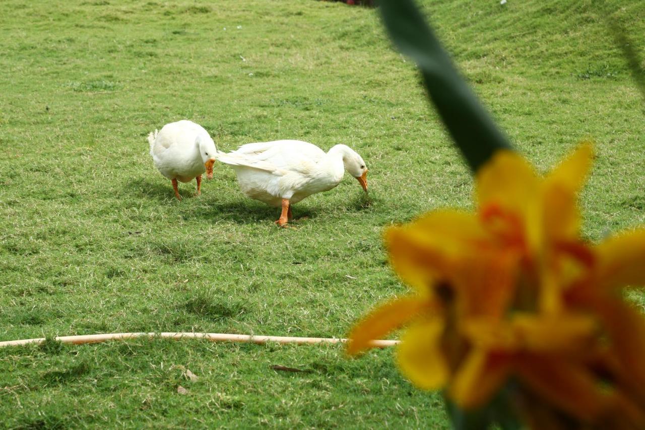 Nature Leap Resort Igatpuri Ngoại thất bức ảnh